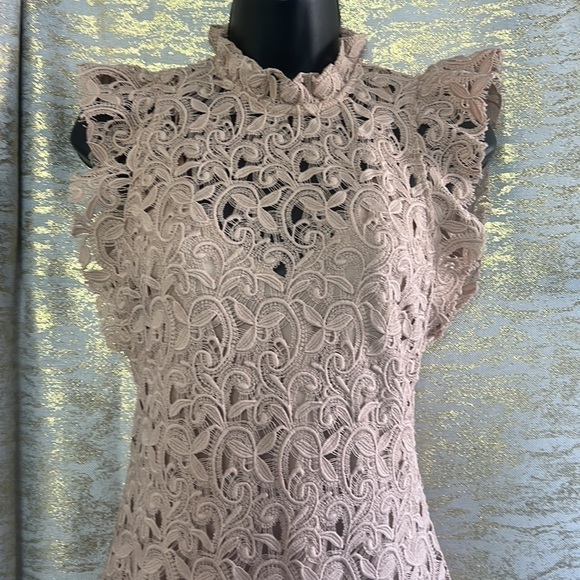 Zara Women’s Blush Pink Guipure Lace Knee Length Dress Size S - Picture 7 of 17
